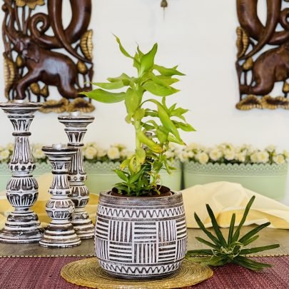 Wooden Plant Holder (XL, Design 3)